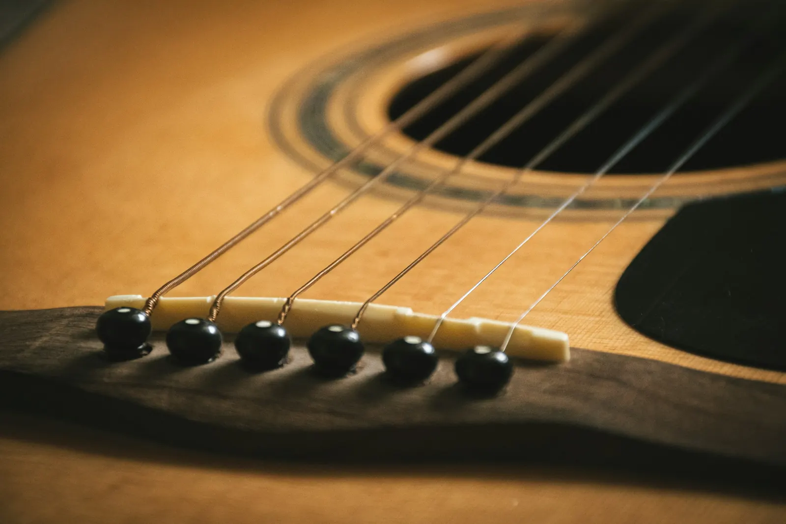 Bridge pins and strings on an acoustic guitar bridge, close up